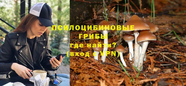 гидропоника Абдулино