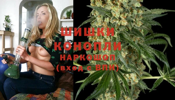 сатива Алексин