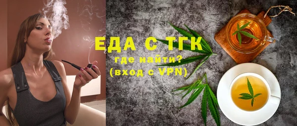 гидра Каменка