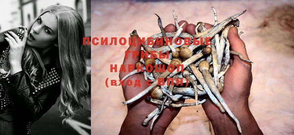 гидропоника Абдулино