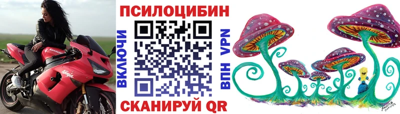 как найти   Алзамай  omg как зайти  Псилоцибиновые грибы Psilocybe 
